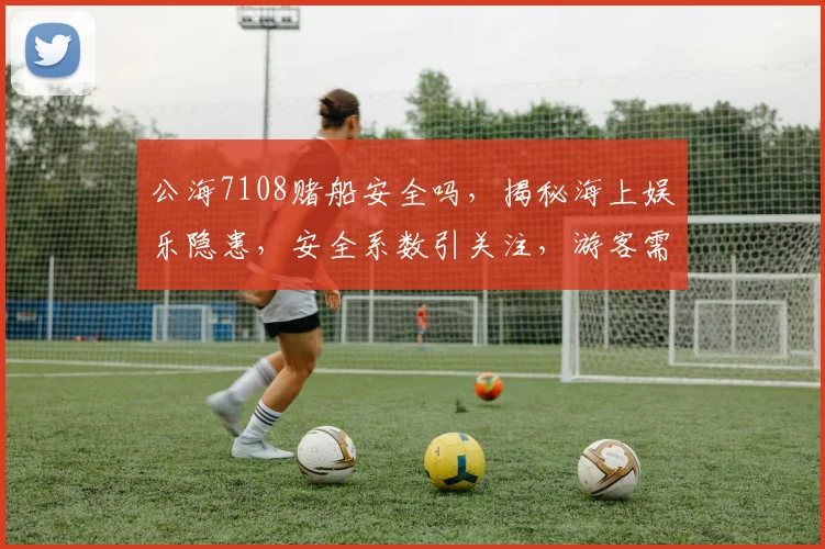 公海7108赌船安全吗，揭秘海上娱乐隐患，安全系数引关注，游客需谨慎