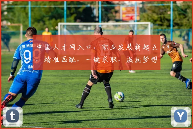 中国人才网入口，职业发展新起点，精准匹配，一键求职，成就梦想，三步走