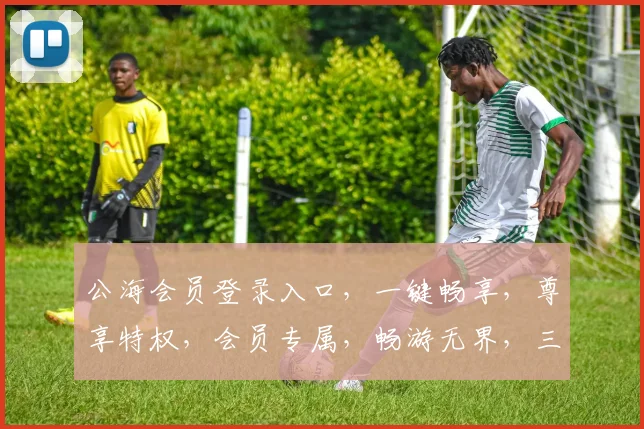 公海会员登录入口，一键畅享，尊享特权，会员专属，畅游无界，三重惊喜，等你来体验